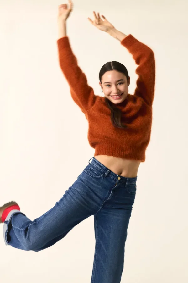 Pull Chachou | Des Petit Hauts Cheap