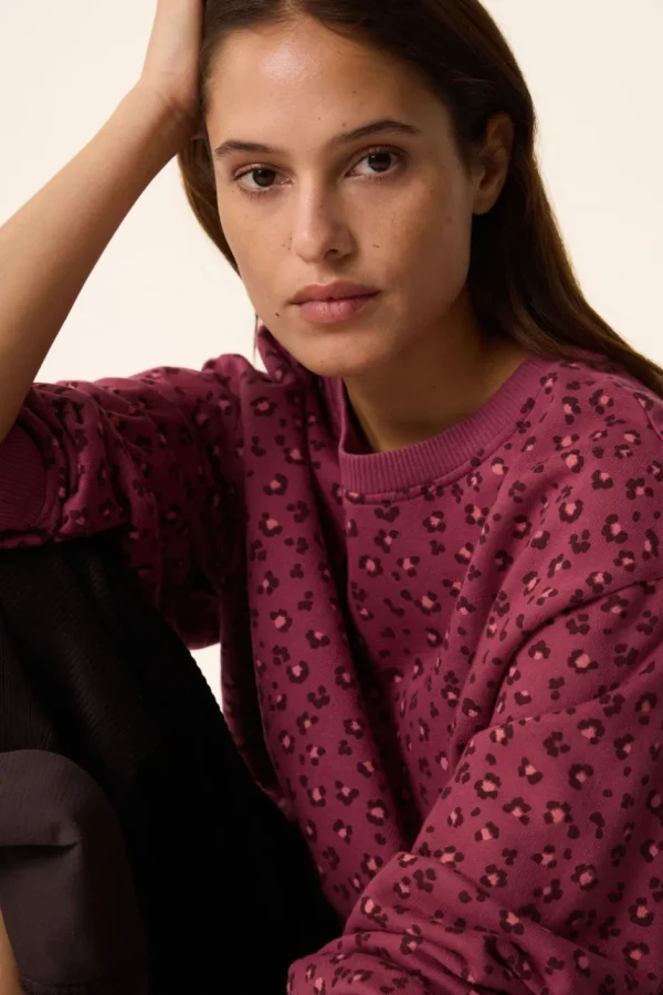 Sweat Hanita | Des Petit Hauts New